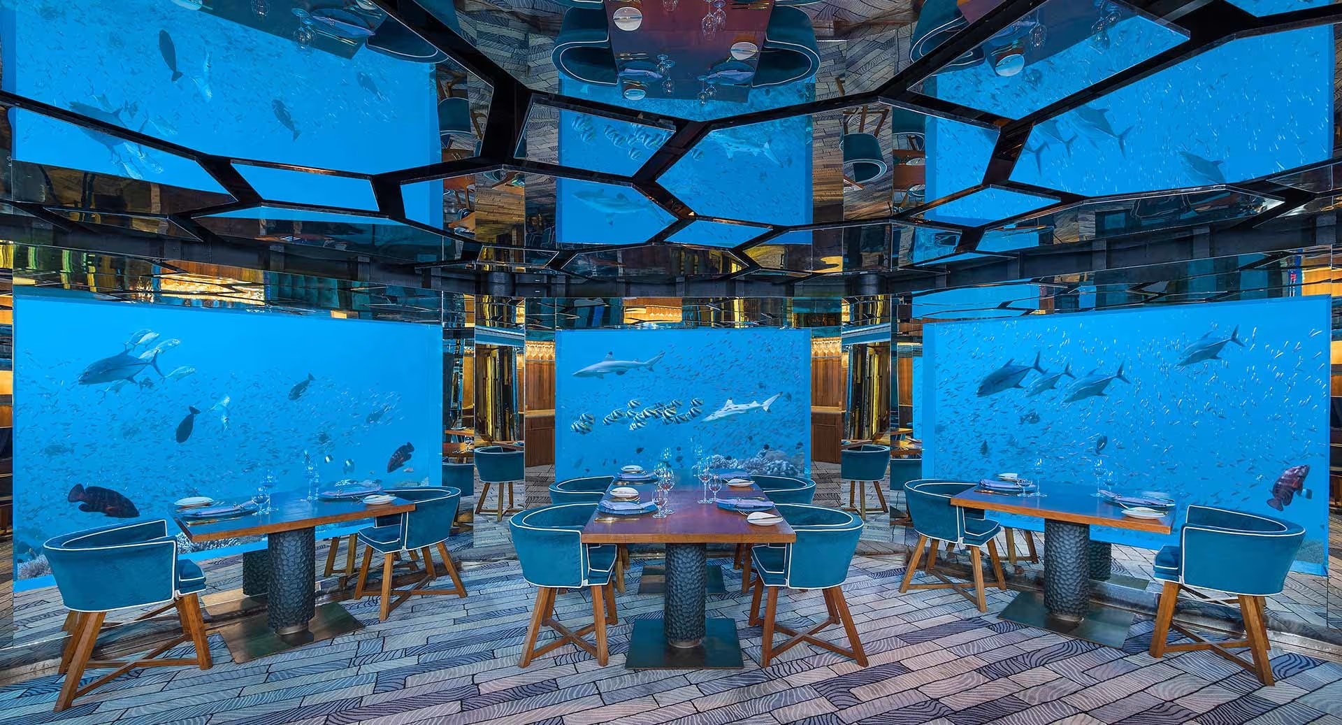 Spectacular underwater dining room at Anantara Kihavah Maldives surrounded by marine life